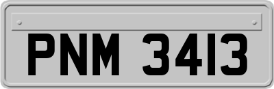PNM3413