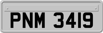 PNM3419