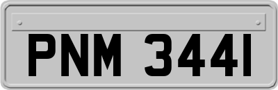 PNM3441