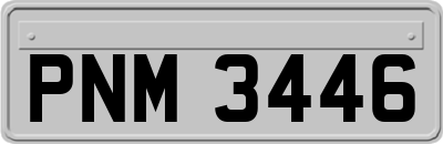 PNM3446