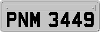 PNM3449