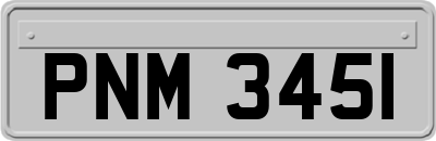 PNM3451