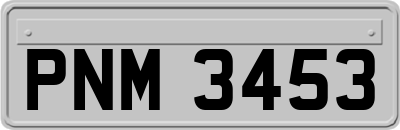 PNM3453