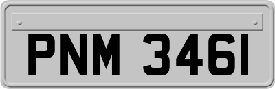 PNM3461