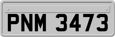 PNM3473
