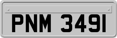 PNM3491