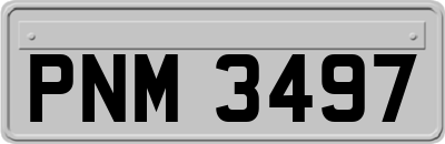 PNM3497