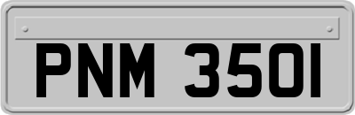 PNM3501