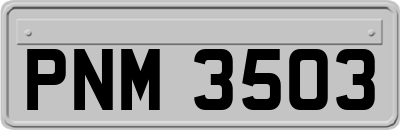 PNM3503