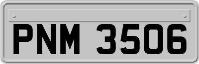 PNM3506