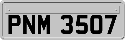 PNM3507