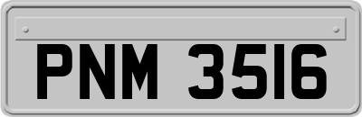 PNM3516
