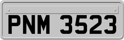 PNM3523