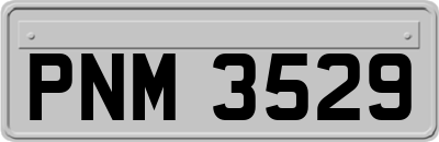 PNM3529