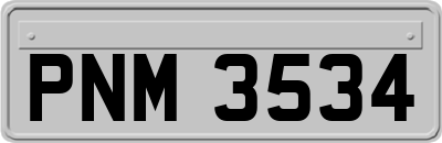PNM3534