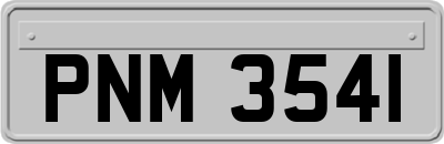 PNM3541