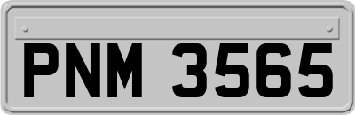 PNM3565