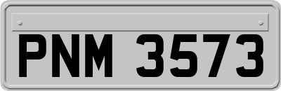 PNM3573