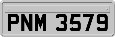 PNM3579
