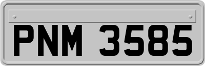 PNM3585