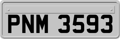 PNM3593