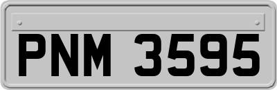 PNM3595