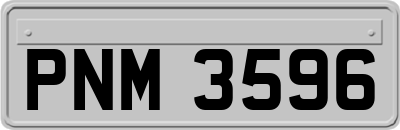 PNM3596