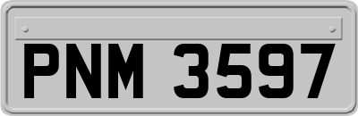 PNM3597