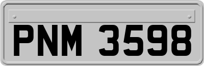 PNM3598