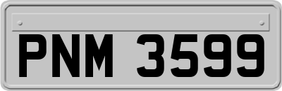 PNM3599