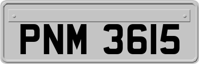 PNM3615