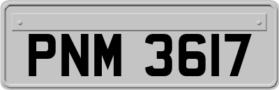 PNM3617