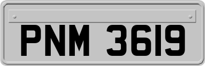 PNM3619