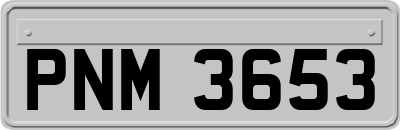 PNM3653