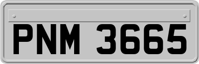 PNM3665