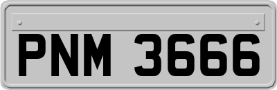 PNM3666