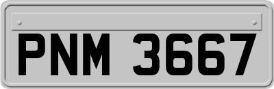 PNM3667