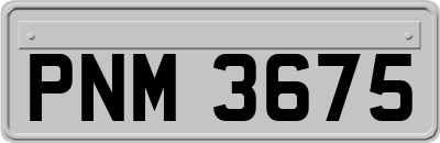 PNM3675