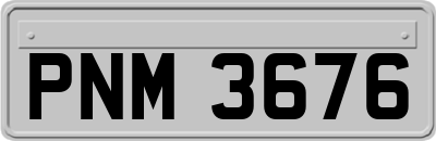 PNM3676