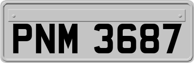 PNM3687