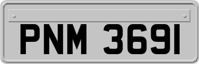 PNM3691