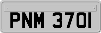PNM3701