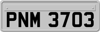 PNM3703