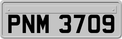 PNM3709