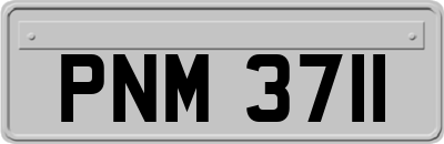 PNM3711