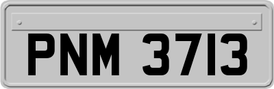 PNM3713