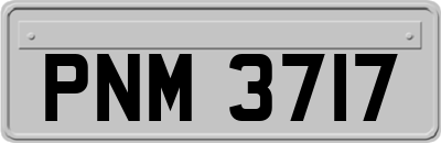 PNM3717