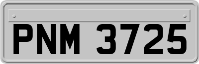PNM3725