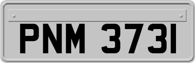 PNM3731