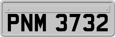 PNM3732